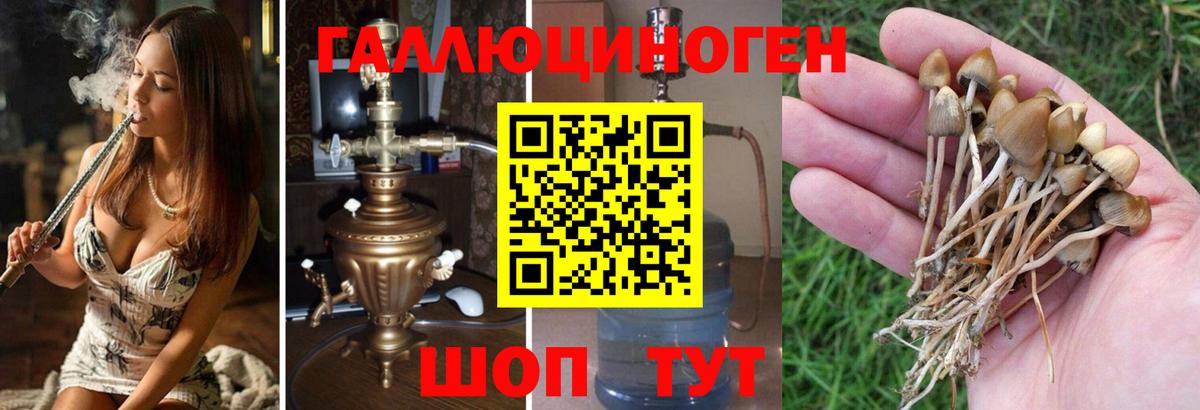 Галлюциногенные грибы прущие грибы Алейск